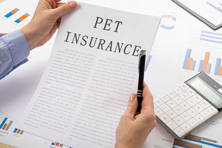 ペット保険のイメージ