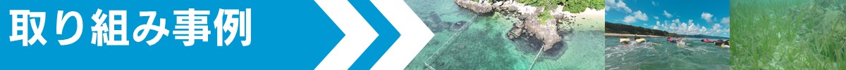 石垣島取組みへ遷移