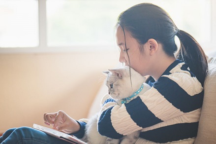 日本人とペットのイメージ