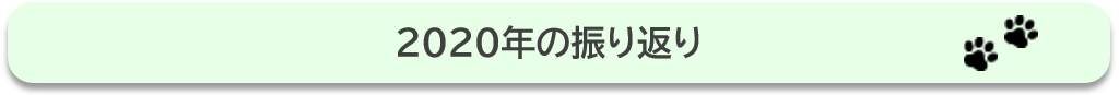 2020年の振り返り