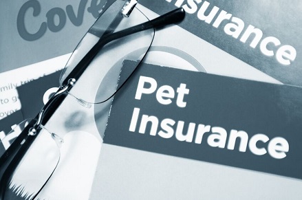ペット保険事業のイメージ